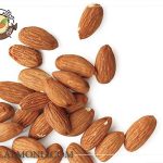 فروش مغز بادام شیرین برای روغن گیری