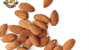 فروش مغز بادام شیرین برای روغن گیری