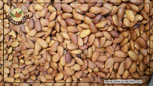 قیمت انواع بادام خارجی