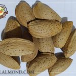 سفارش بادام مامایی درجه یک