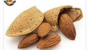 خرید و فروش بادام