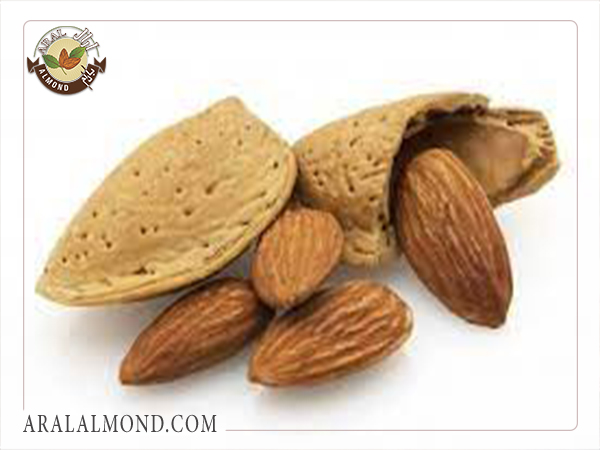 خرید و فروش بادام