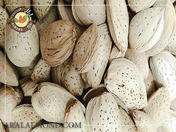 خرید بادام درختی با پوست