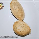 قیمت انبوه بادام درختی صادراتی
