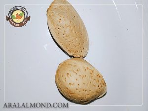 قیمت انبوه بادام درختی صادراتی