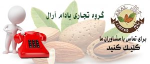 خرید مغز بادام مامایی سامان به صورت اینترنتی