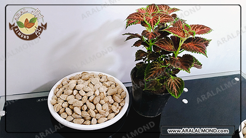 خرید اینترنتی بادام منقا