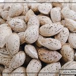 خرید بادام و خواص بادام منقا پوست کاغذی