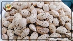خرید بادام و خواص بادام منقا پوست کاغذی