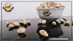 مرکز خرید بادام کاغذی