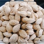 صادرات بادام درختی به هند