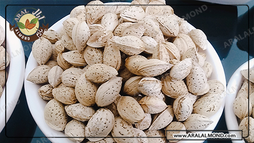 صادرات بادام درختی به هند