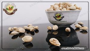 مرکز خرید بادام کاغذی