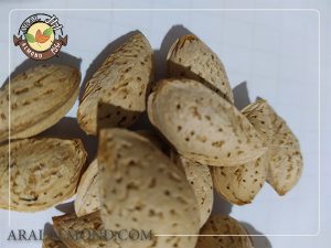 قیمت خرید بادام مامایی سامان صادراتی 1400