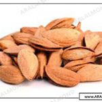 مرکز صادرات بادام پوست کاغذی درجه یک