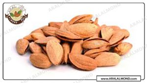 مرکز صادرات بادام پوست کاغذی درجه یک