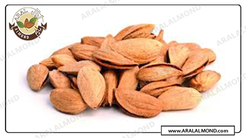 مرکز صادرات بادام پوست کاغذی درجه یک