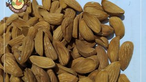 قیمت مغز بادام درختی خام