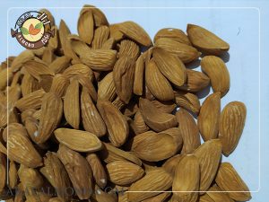قیمت مغز بادام درختی خام
