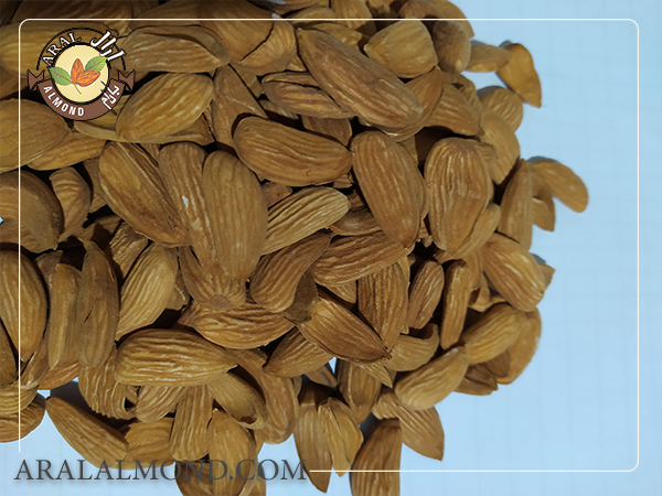 صادرات مغز بادام درختی