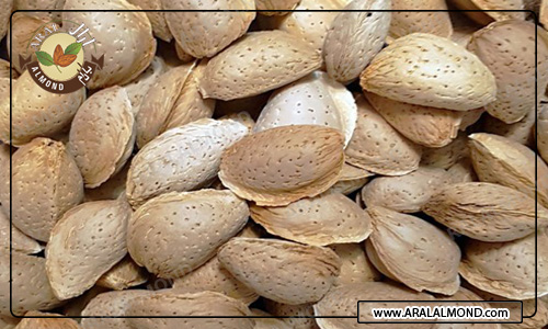 قیمت کلی بادام ربیع