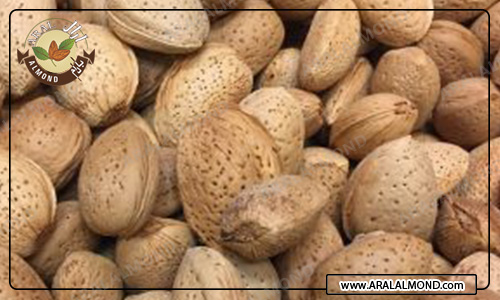 مرکز خرید مغز بادام ربیع درجه یک