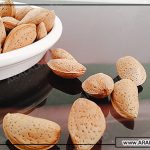 مرکز فروش بادام سنگی با کیفیت