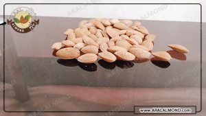 خرید بادام ربیع با قیمت مناسب