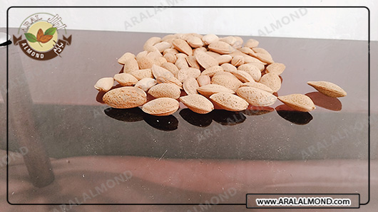 خرید بادام ربیع با قیمت مناسب
