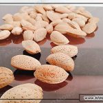 آشنایی با چند نوع بادام درختی با پوست و مقایسه آن ها با یکدیگر