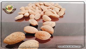 آشنایی با چند نوع بادام درختی با پوست و مقایسه آن ها با یکدیگر