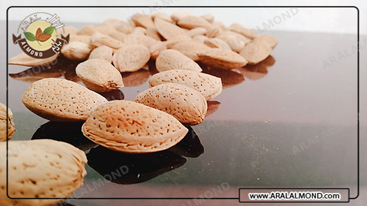 سفارش مغز بادام سنگی