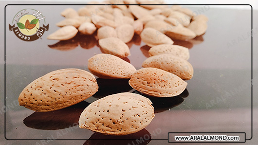 قیمت انواع مغز بادام ربیع