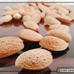خرید اینترنتی مغز بادام سنگی با قیمت عالی