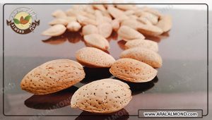 خرید اینترنتی مغز بادام سنگی با قیمت عالی