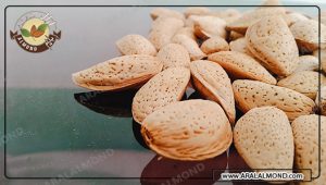 سفارش اینترنتی مغز بادام ربیع در ایران