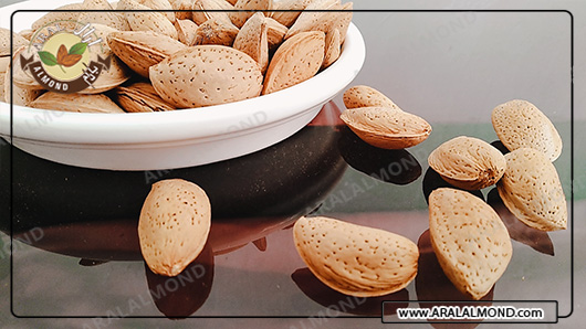 مرکز خرید بادام سنگی ارزان قیمت
