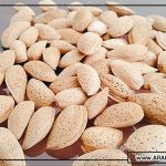 تولید انواع بادام ربیع به صورت اینترنتی
