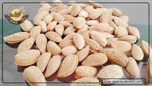 تولید انواع بادام ربیع به صورت اینترنتی