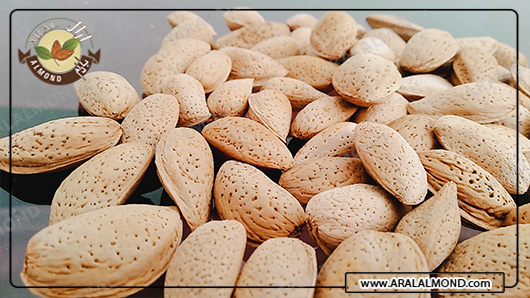 سفارش اینترنتی مغز بادام سنگی