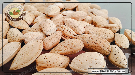 قیمت انواع مغز بادام ربیع