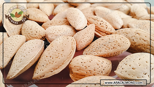 خرید مغز بادام سنگی