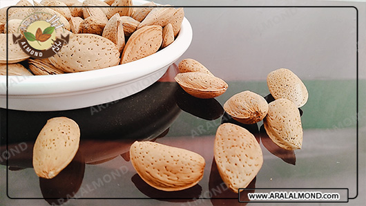 قیمت بادام ربیع درشت و درجه یک