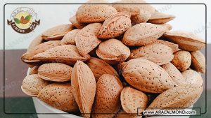 سفارش اینترنتی بادام ربیع با کیفیت