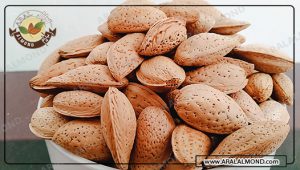 سفارش اینترنتی بادام ربیع با کیفیت