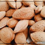 فروشگاه بادام ربیع ارزان قیمت