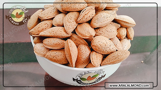خرید انواع مغز بادام ربیع ایرانی