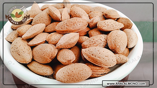 فروش مغز بادام سنگی