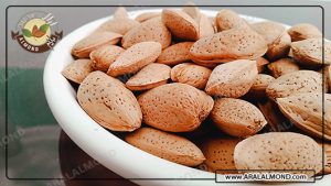 آشنایی با چند نوع بادام درختی با پوست و مقایسه آن ها با یکدیگر