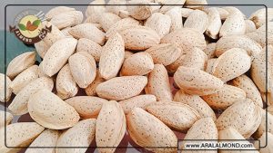 طبع بادام درختی ایرانی و خواص بادام درختی